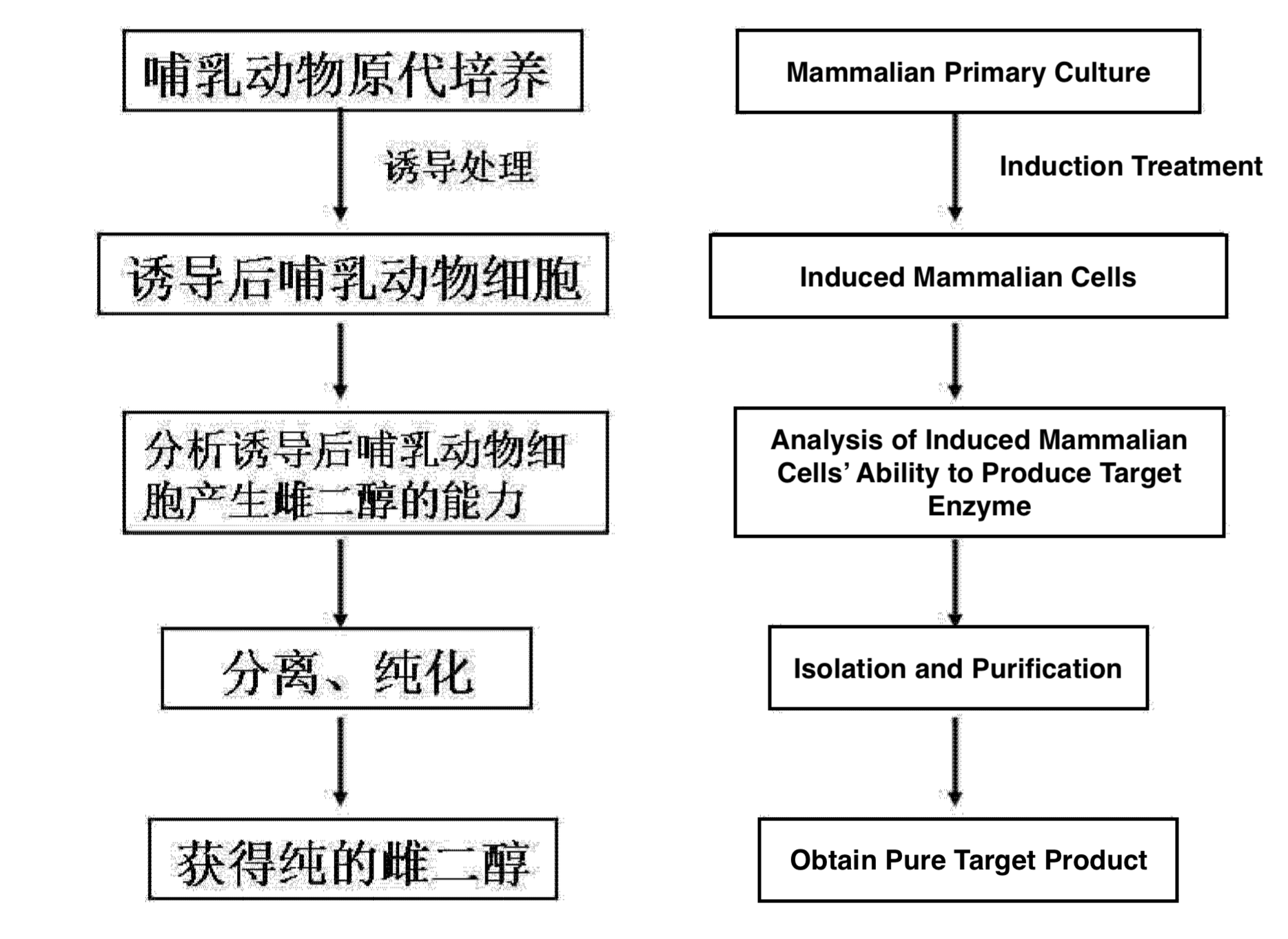 Figure 6: flowchart of the preparation method