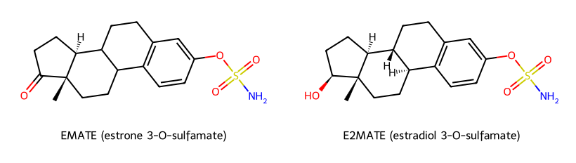 Figure 1: The aryl sulfamate CAII-binding pharmacophore in EMATE and E2MATE