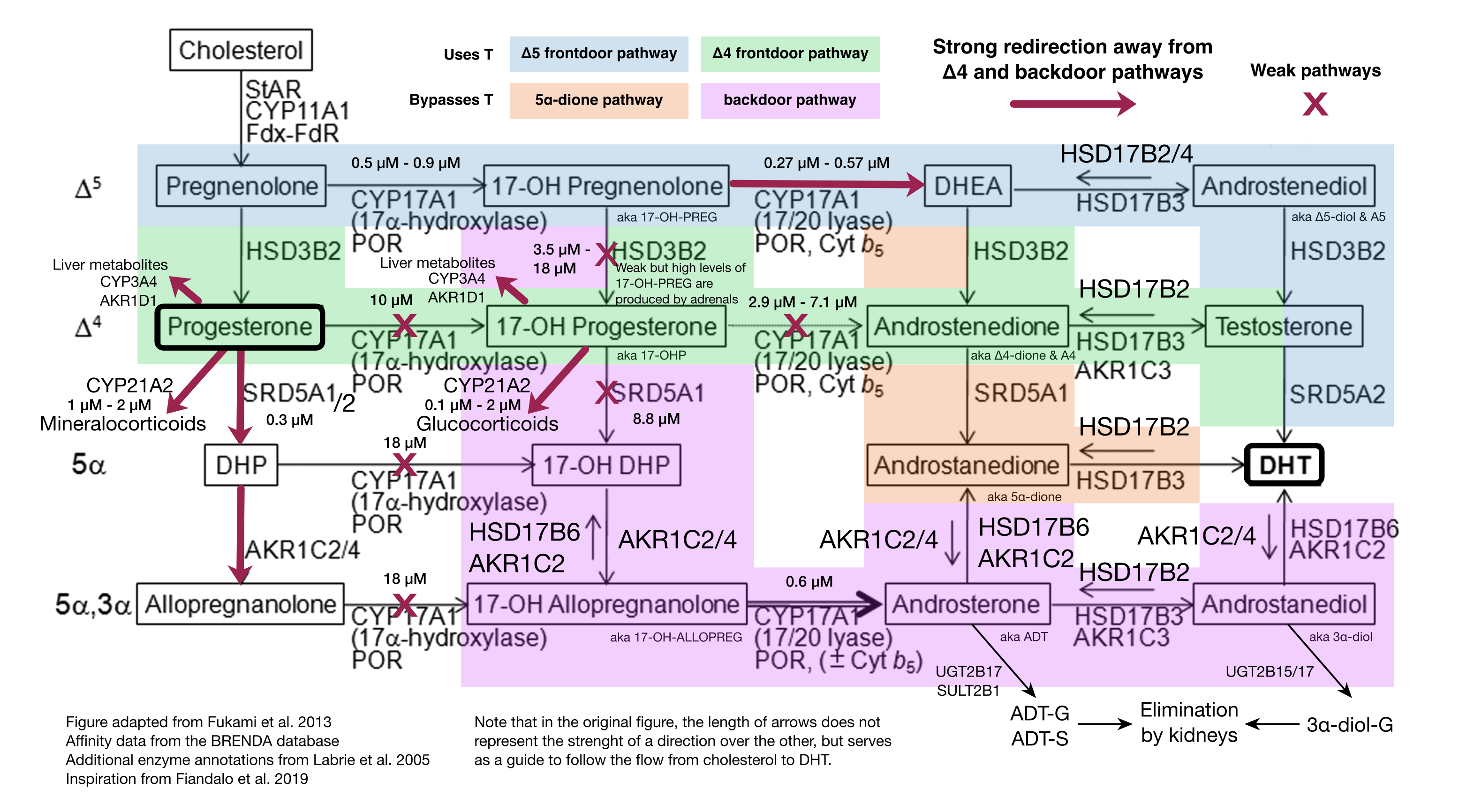 Figure 3: Graphical summary with enzyme annotations and affinities